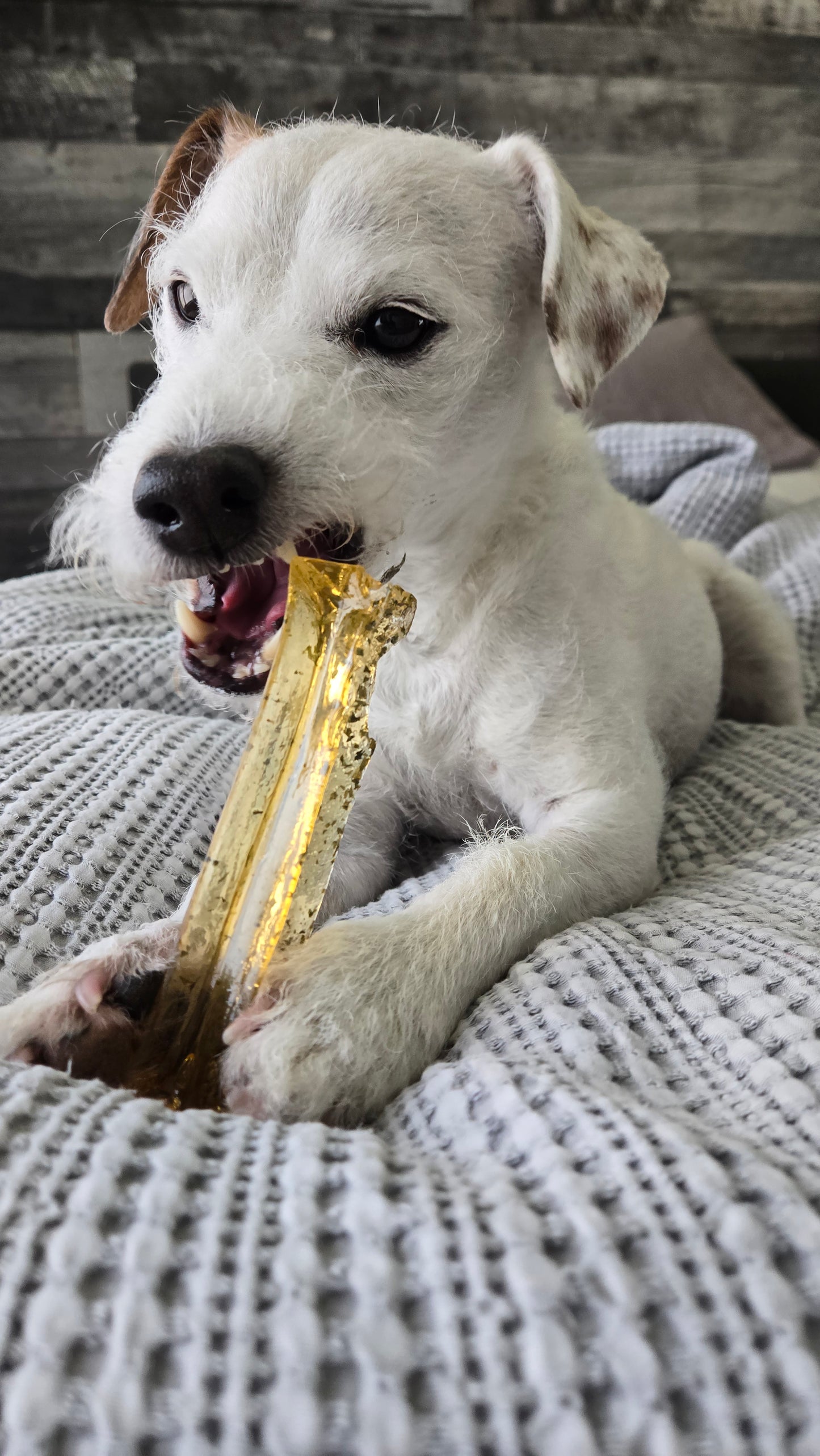 Mighty Marrows - Collagen Dental Chews