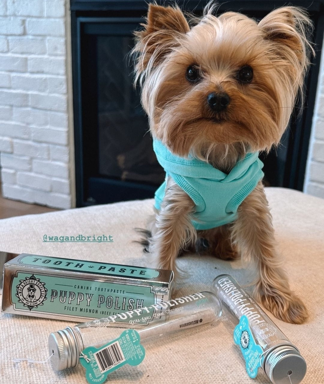 Puppy Polish - Filet Mignon (Beef Flavor) Toothpaste (SOLD OUT)