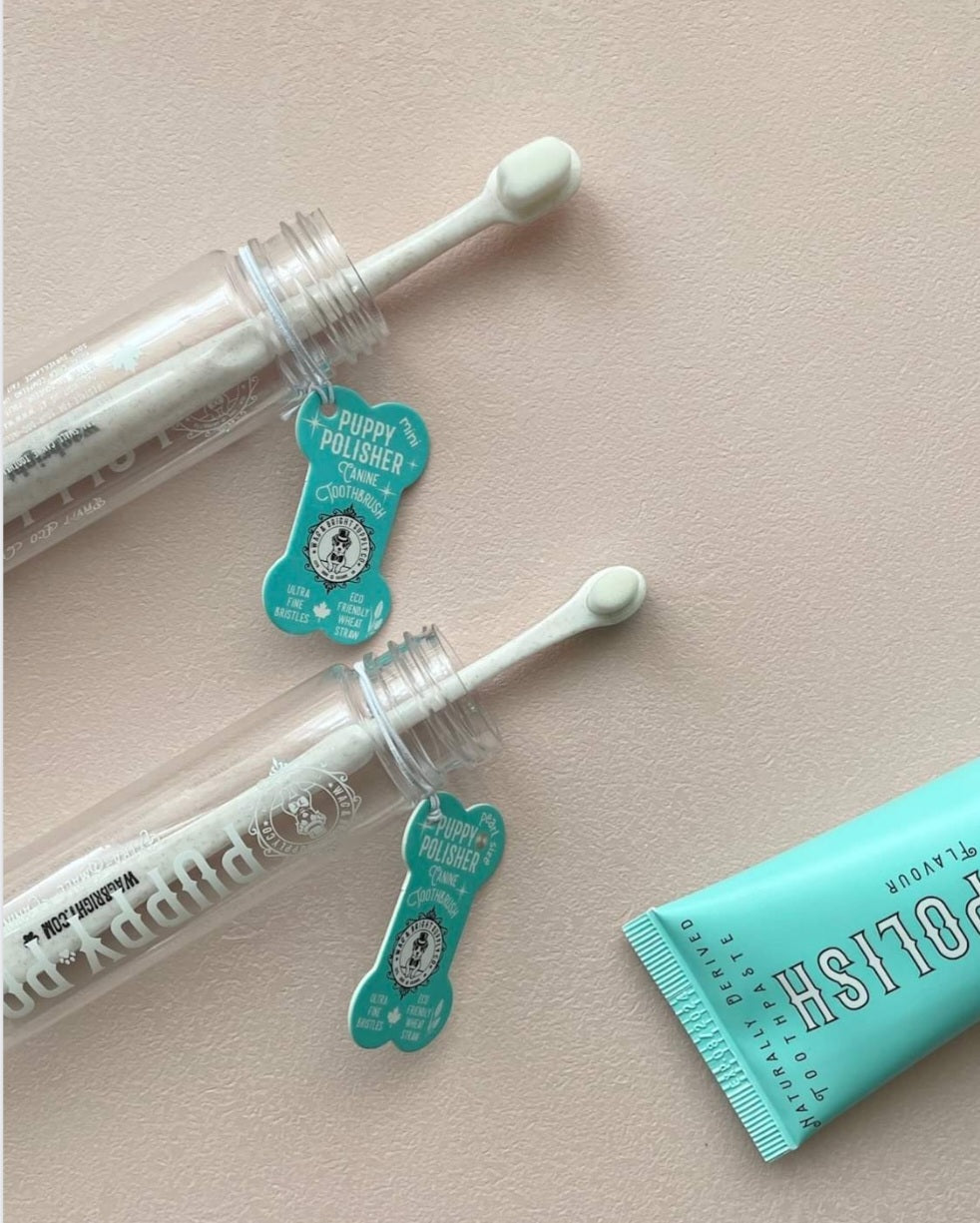 Puppy Polisher Mini Eco Toothbrush (Small)