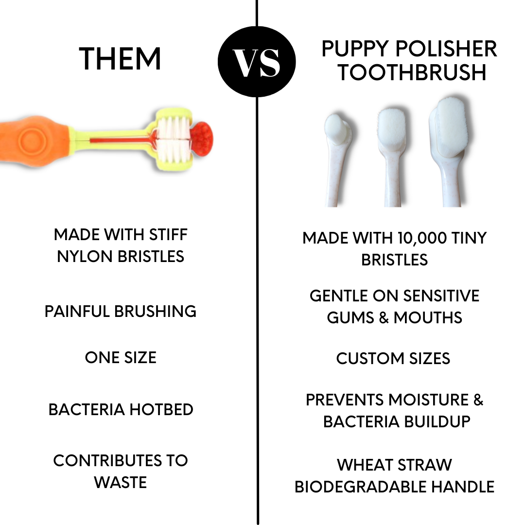 Puppy Polisher Eco Toothbrush (Medium)