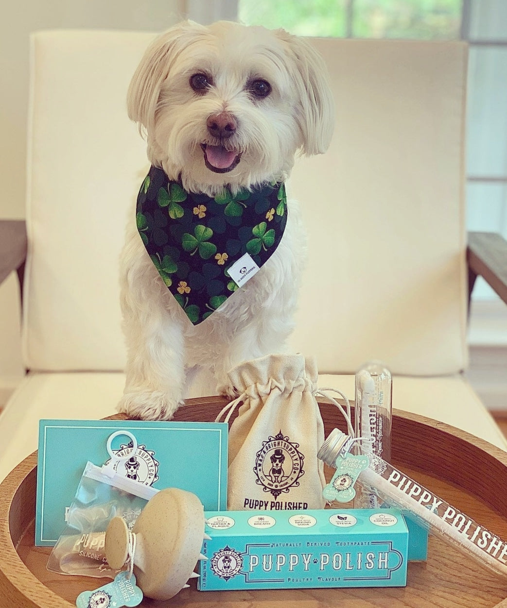 Puppy Polisher - Eco Shampoo Brush