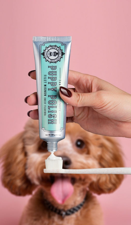 Puppy Polish Filet Mignon Beef Toothpaste for Dogs with toothbrush