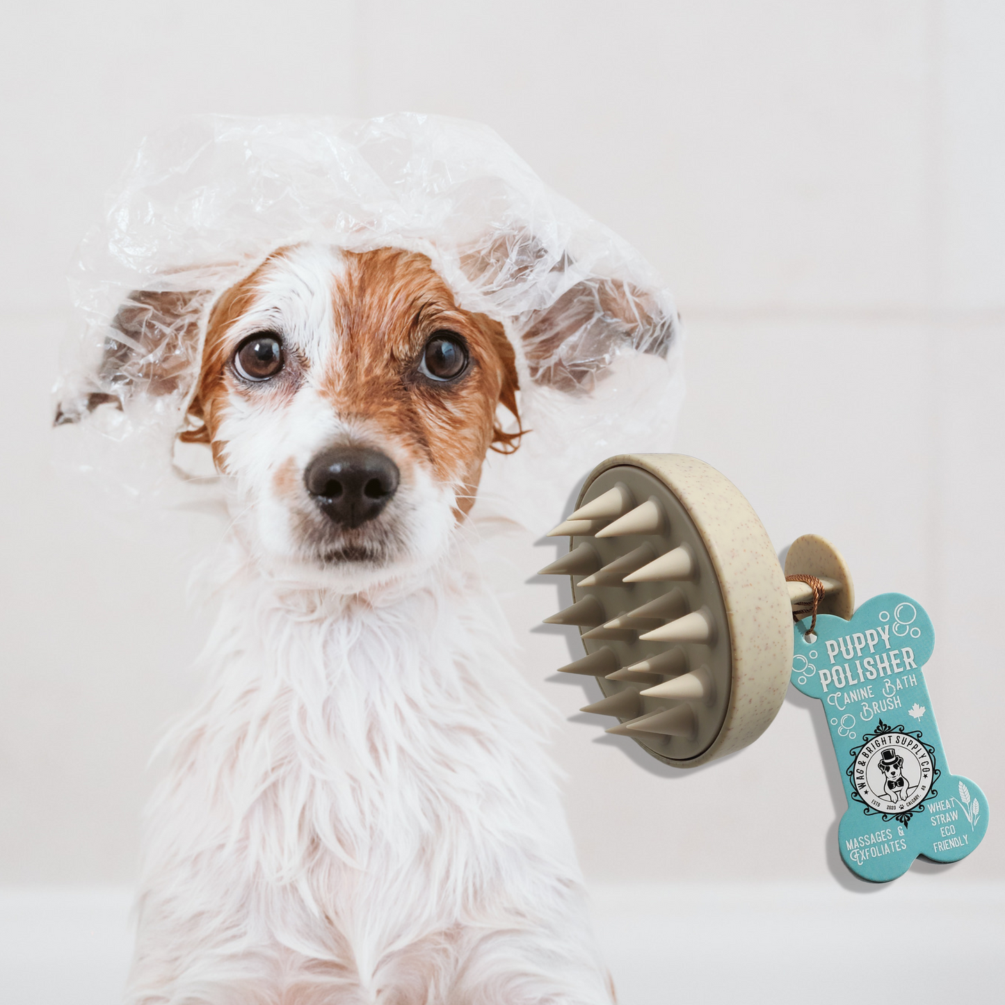 Puppy Polisher - Eco Shampoo Brush