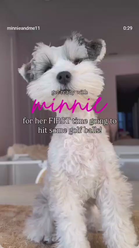 Puppy Polisher Silicone BPA Free Finger Brush